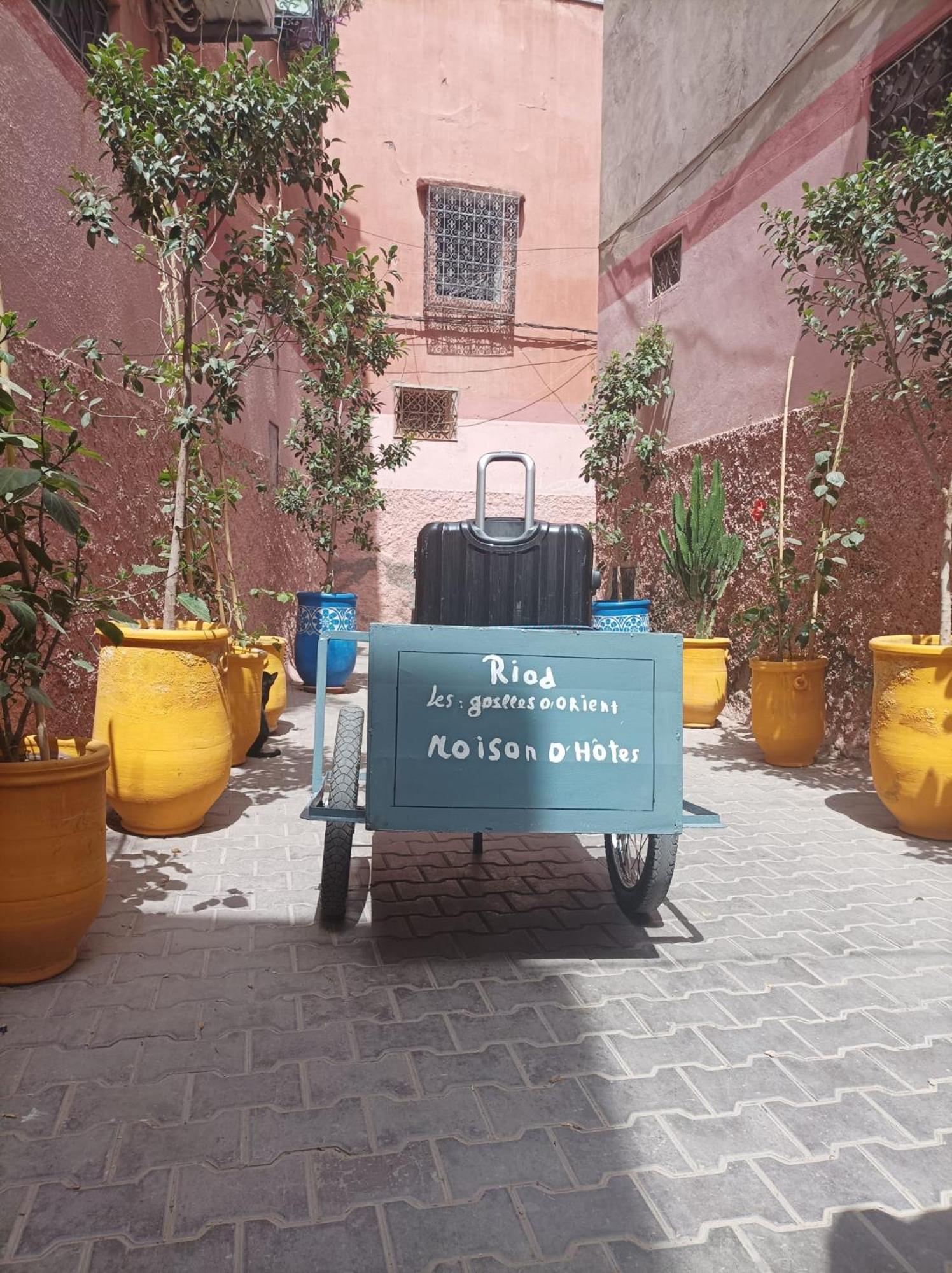 Riad Les Gazelles D'Orient Marrakech Marrakesh Buitenkant foto